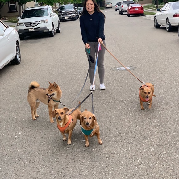 Choose any 3 Items priced $20 & below for $20 provided it’s within the 5lb limit - Picture 2 of 8